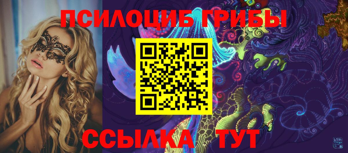 Галлюциногенные грибы Psilocybe Ногинск