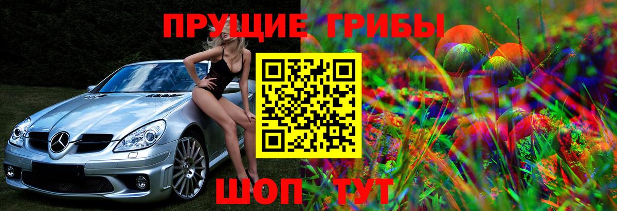 Ногинск  цены наркотик  Галлюциногенные грибы прущие грибы  Вход с VPN  Галлюциногенные грибы мицелий 